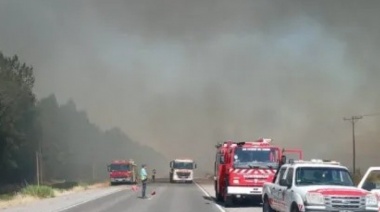 Incendio forestal arrasa con más de 500 hectáreas en Vaca Muerta