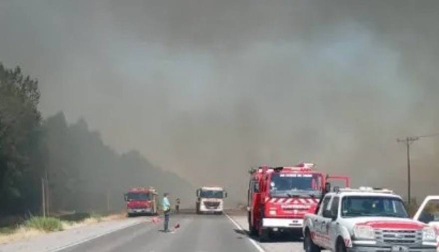 Incendio forestal arrasa con más de 500 hectáreas en Vaca Muerta