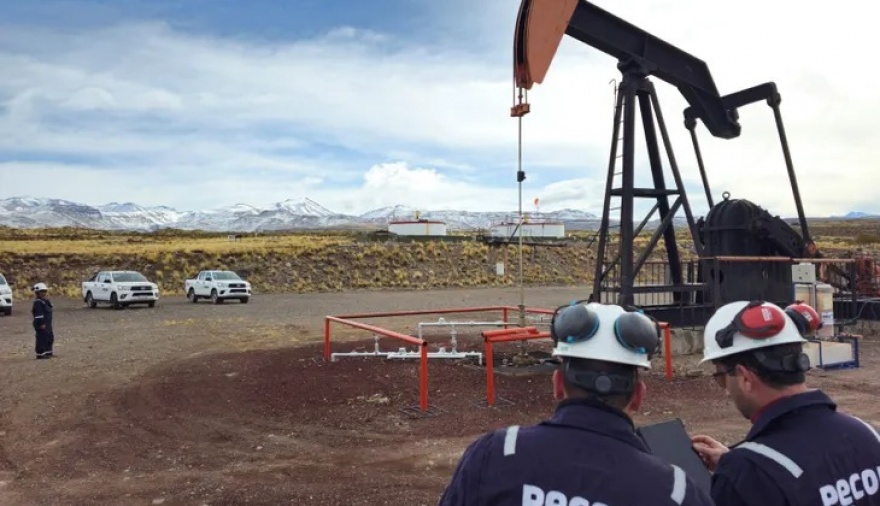 Pecom invertirá el triple que YPF en Chubut tras la eliminación de aranceles a los polímeros
